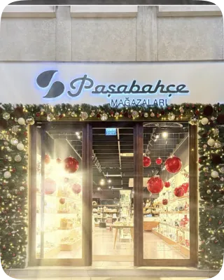 merry-pasabahce-project